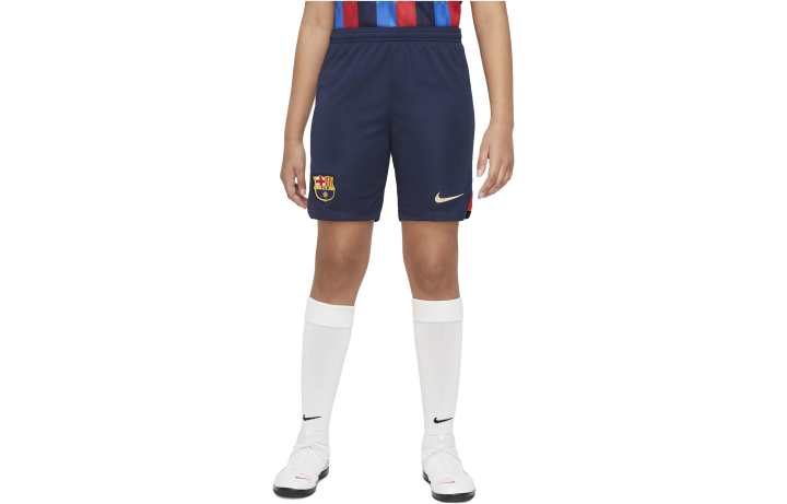 Nike Nike Kids Shorts Moderate