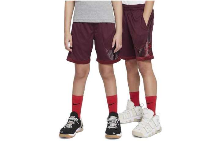 Nike Nike Grade School Shorts Moderate