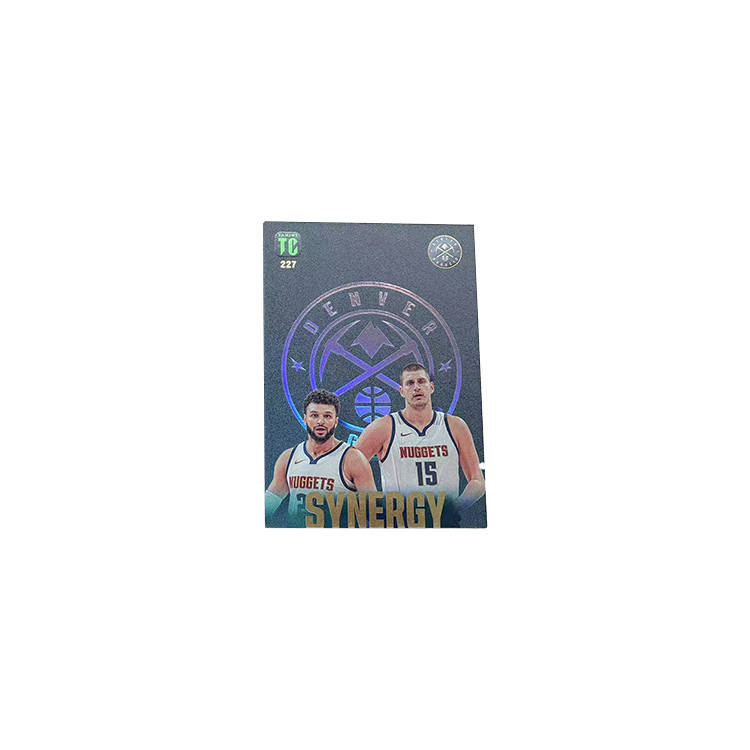 PANINI TC Top Class SYNERGY Partner Tka, Denver Nuggets, Nikola Jokic, Coach Murray Sports Cards 1 Pc