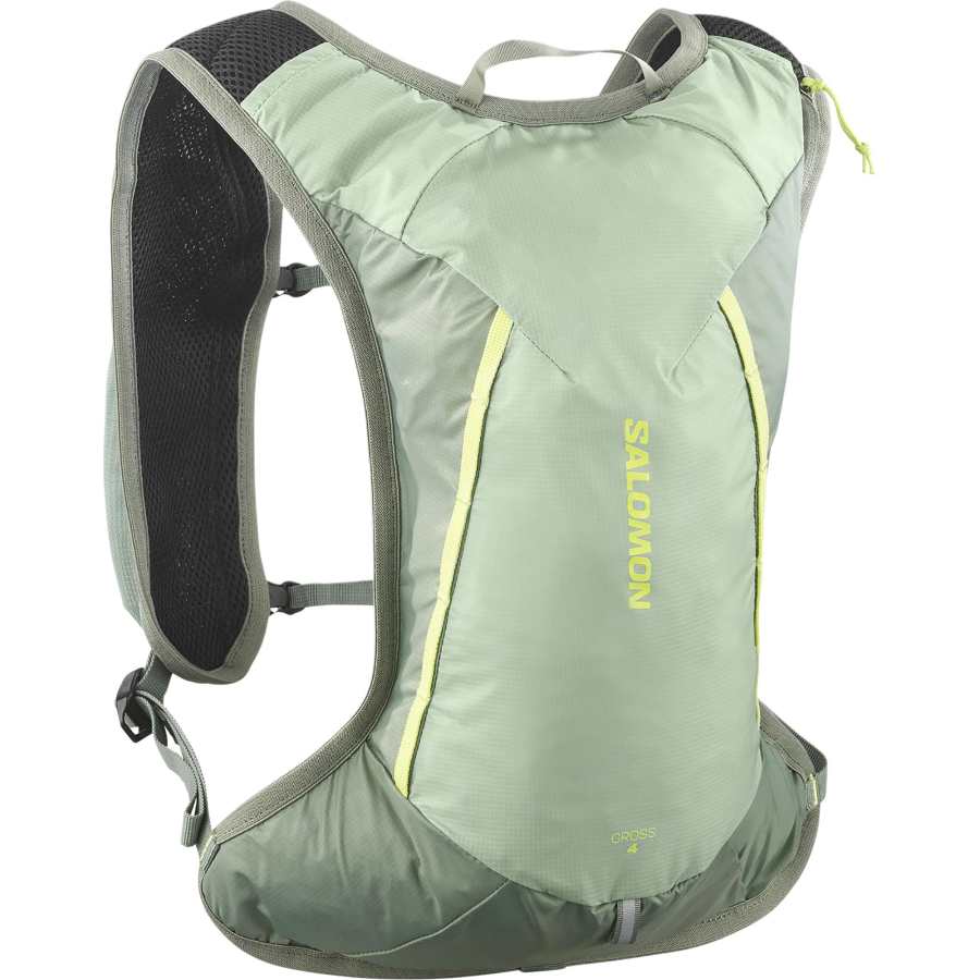 SALOMON 4L Hiking Bag Outdoor Bag Nylon Gray Green Women's