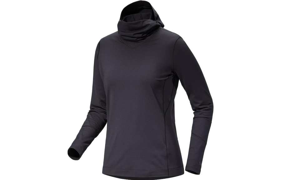 Arcteryx Arc'teryx Rho Hoodie