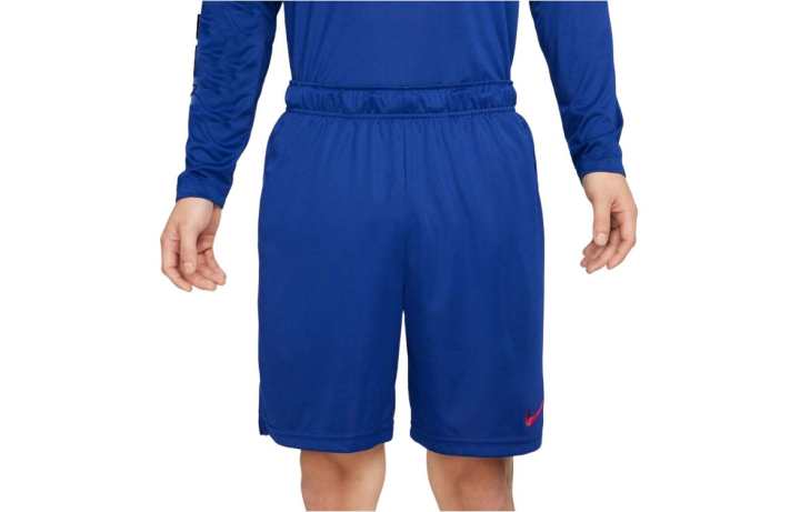 Nike Nike Casual Shorts Men's Blue Moderate