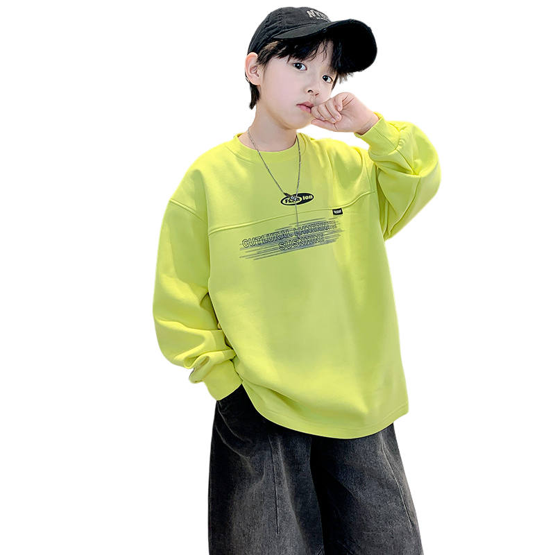 Lanza Lanza Kids Sweatshirts Crew Neck Moderate