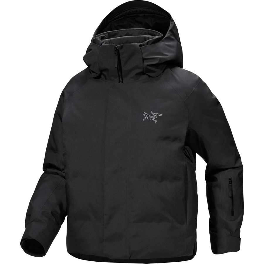 Arcteryx Arc'teryx ANDESSA Down Jacket Women's
