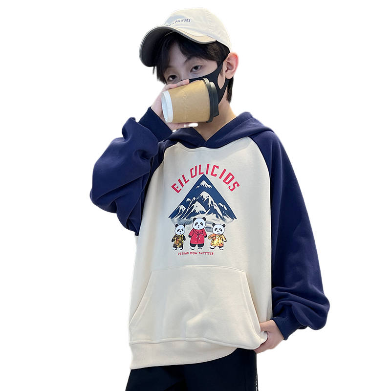 Lanza Kids Sweatshirts Hooded Moderate