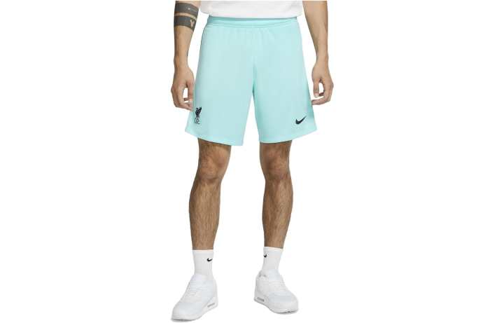 Nike Nike Casual Shorts Men's Lake Green Moderate