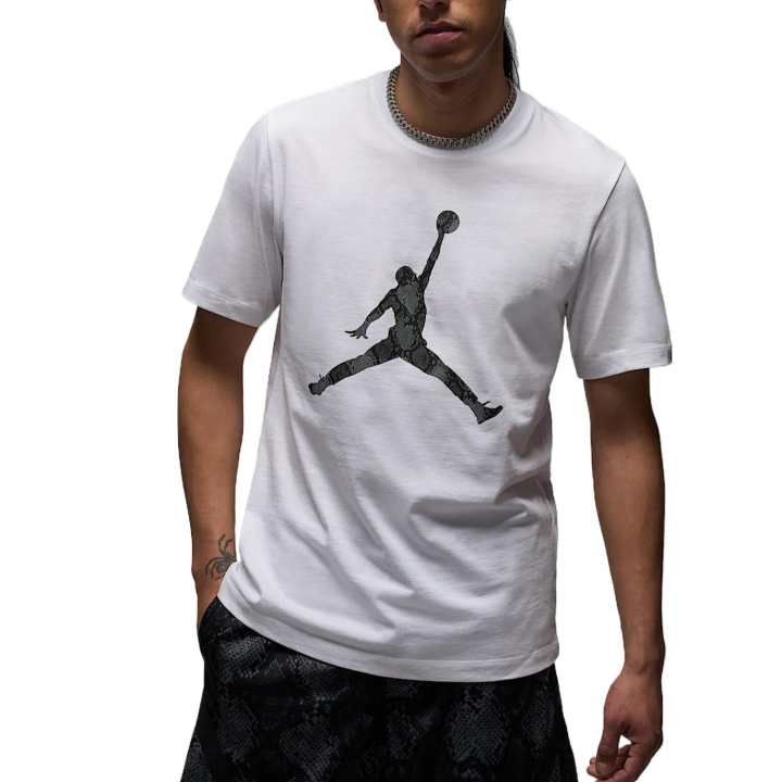 Jordan Jordan Sport Men's Dri-FIT T-Shirt