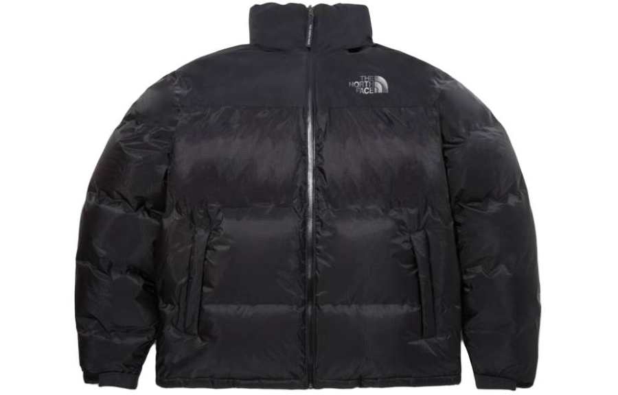 THE NORTH FACE 1996 Collection Down Jacket Men's Black