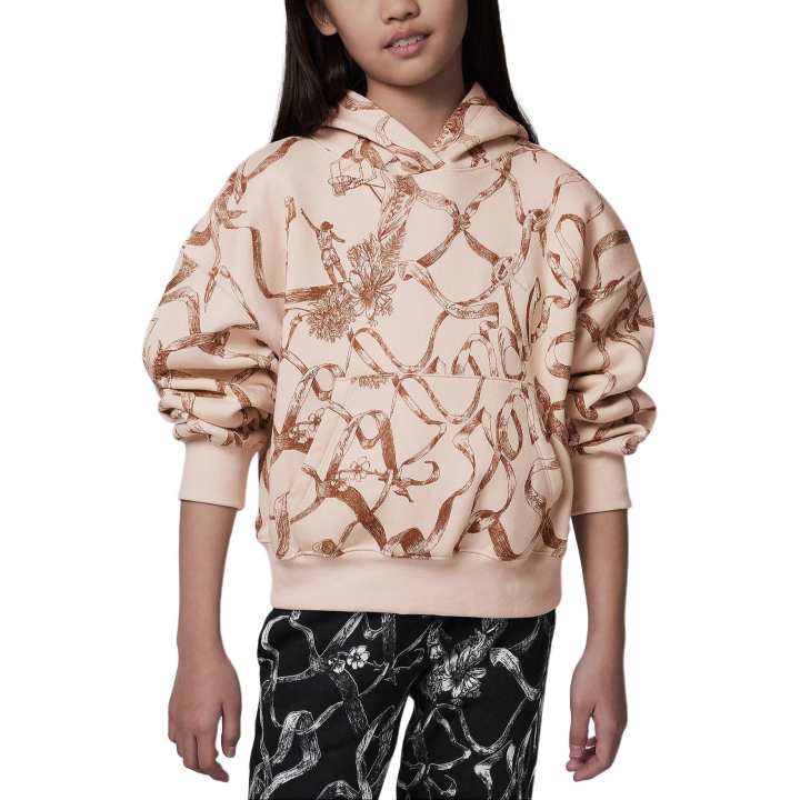 Jordan Jordan Sweatshirt Brooklynn Legend Light Brown Teenagers