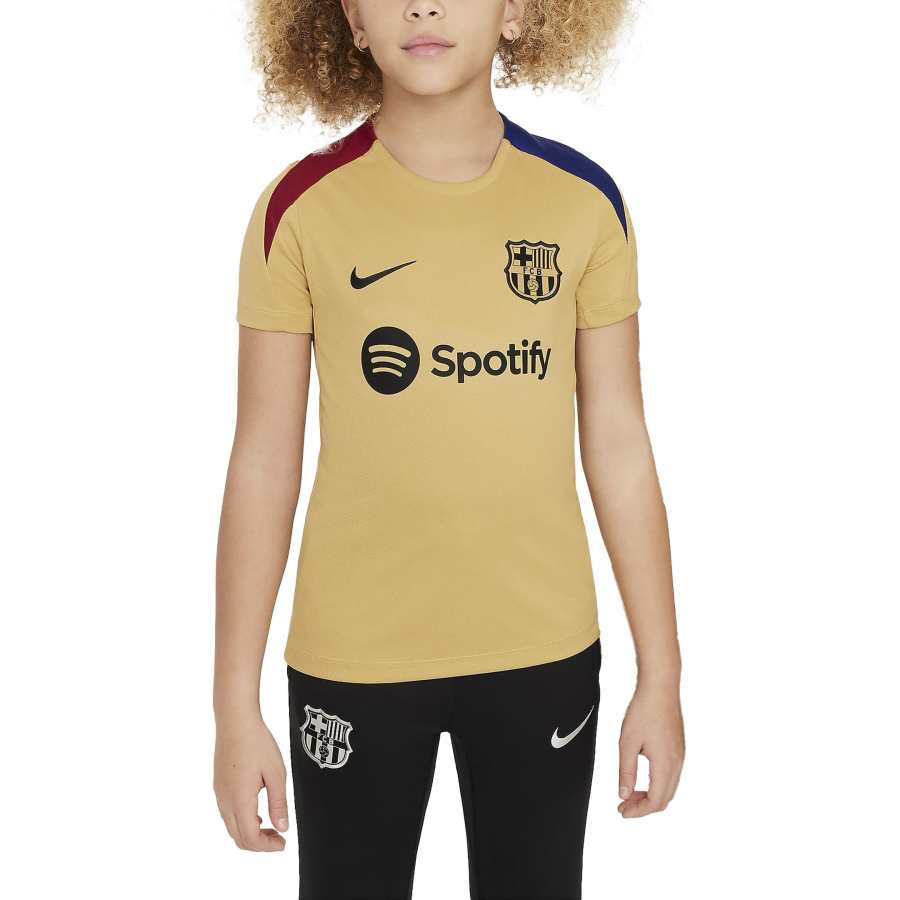 Nike Nike FC FW24 T Shirt Club Gold Teenagers