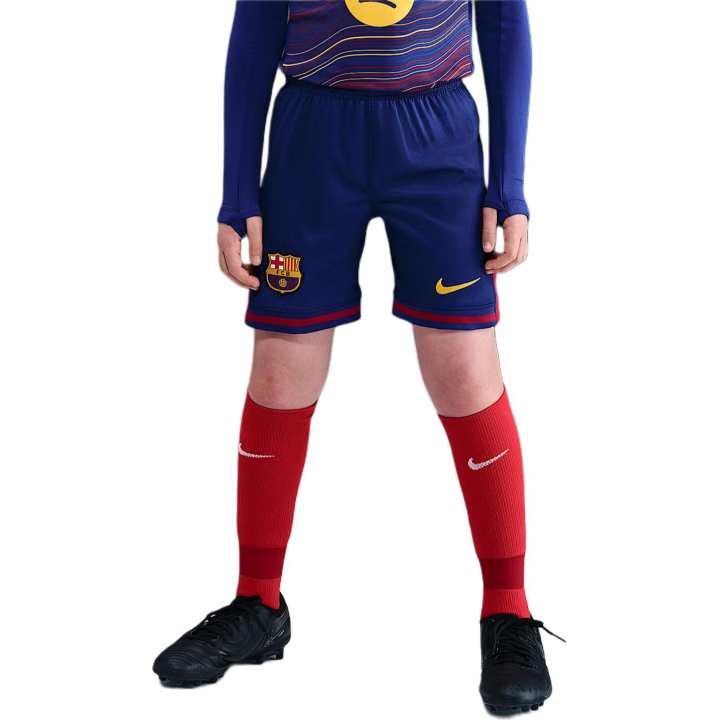 Nike Nike Kids Shorts Moderate