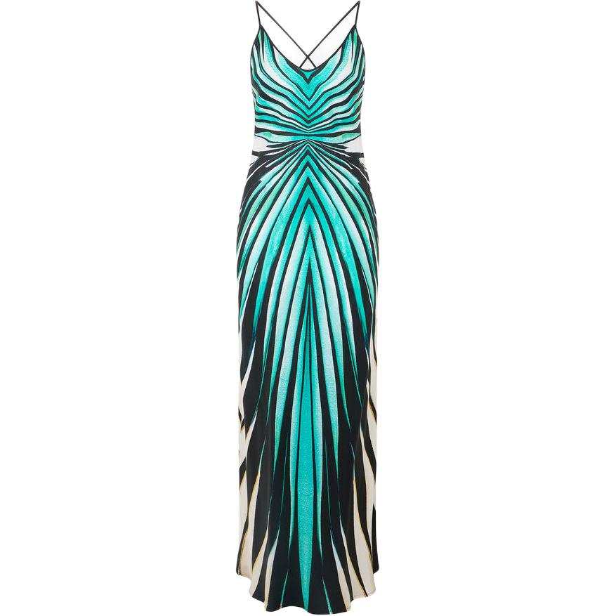 Roberto Cavalli Sea Print Silk Maxi Dress