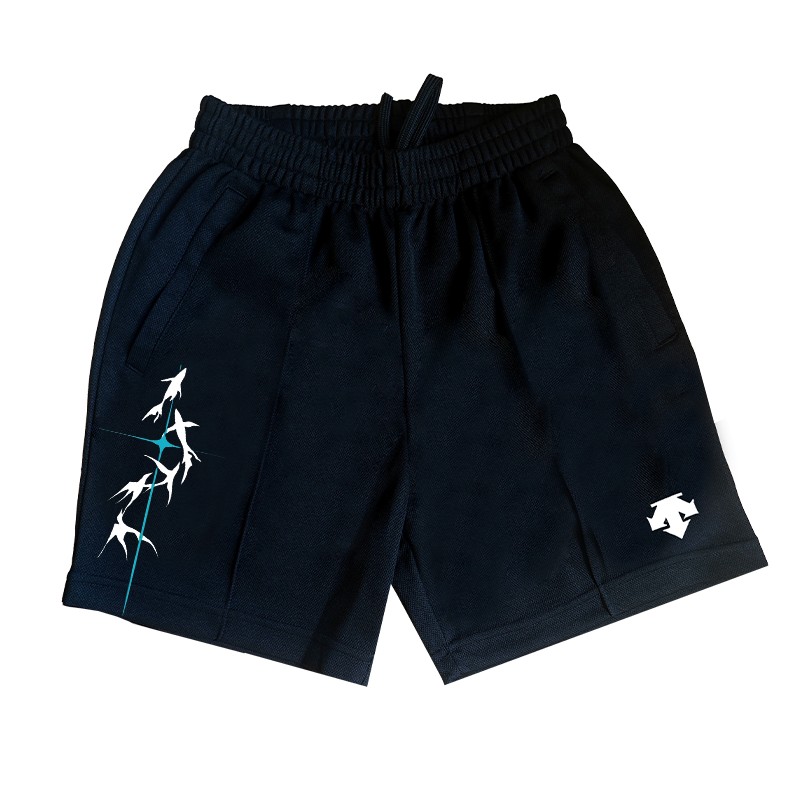DESCENTE DESCENTE Casual Shorts Unisex Moderate
