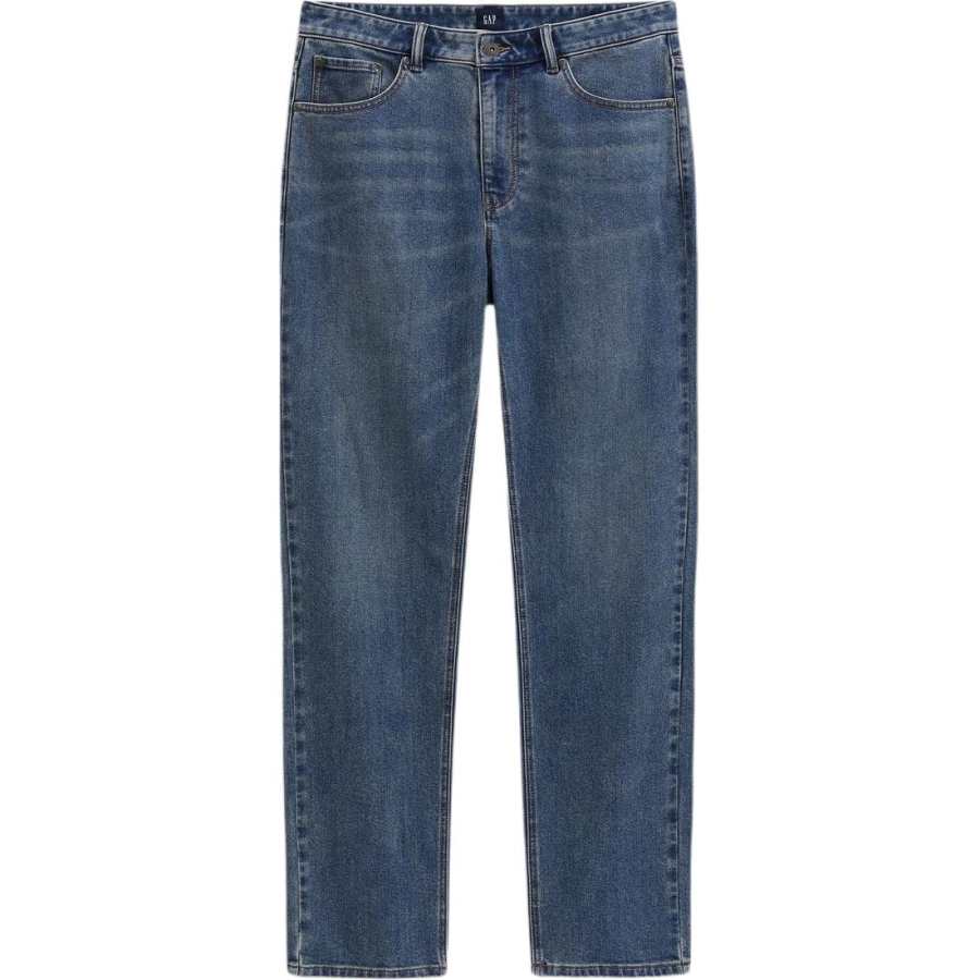 GAP GAP Jeans Men's Moderate Straight Fit Pants