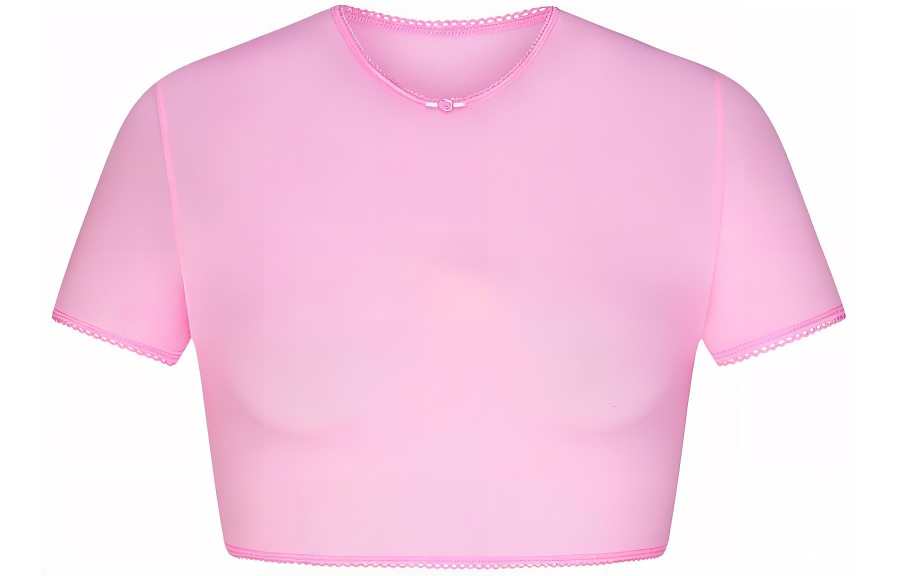 Skims Valentine's Day Collection T Shirt Women's BUBBLE GUM/Bubble Gum