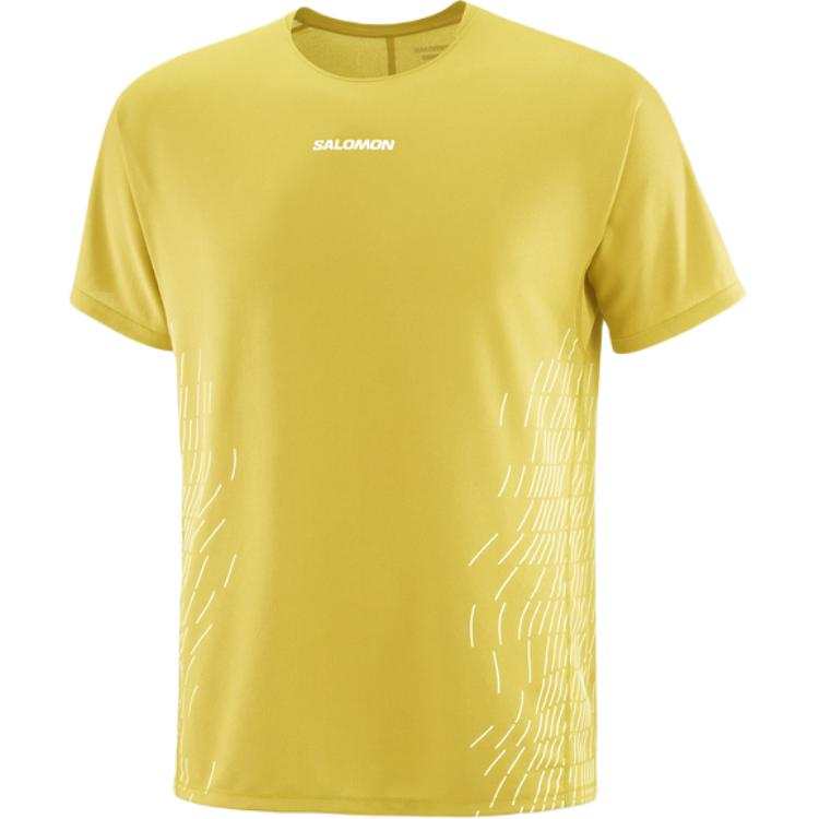SALOMON T Shirts Men's Water Celery Green/Gray White Men's C27002 Crew Neck Moderate