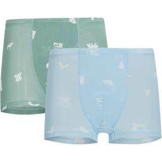 AIMER Underpants 2 Pack Children Aged 3 7 Years Old