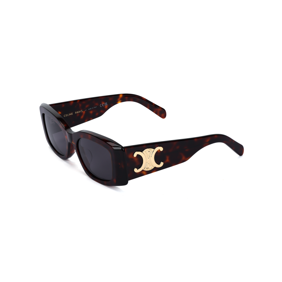 CELINE CELINE Triomphe Xl 01 Sunglasses In Acetate