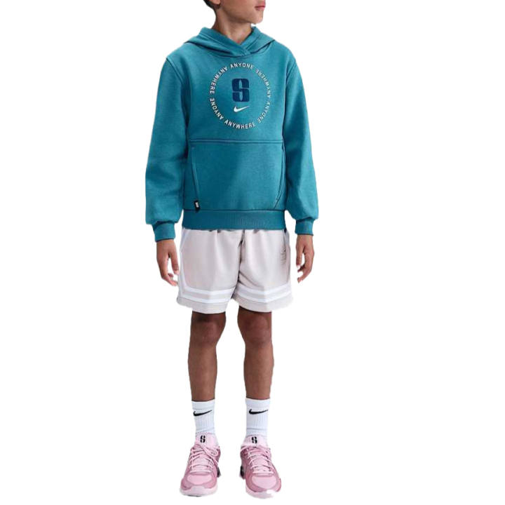 Nike Nike Kids Sweatshirts Hooded Moderate