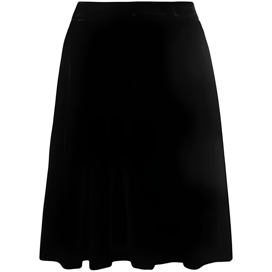 EMPORIO ARMANI Casual Long Skirt Women's