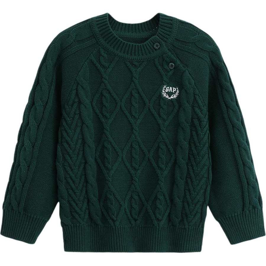 GAP GAP Kids Sweaters Crew Neck Moderate