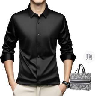PIERRE CARDIN Shirts Men's Lapel Moderate Other