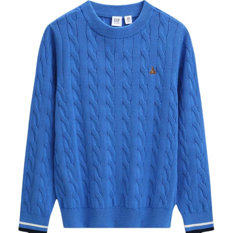 GAP GAP Kids Sweaters Crew Neck Moderate