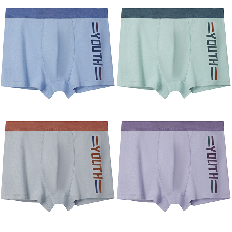 JBBCN JBBCN Underpants 4 Pack Teenagers