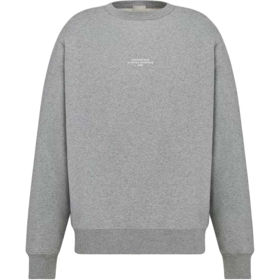 DIOR DIOR Sweatshirts Men's Gray Crew Neck Moderate