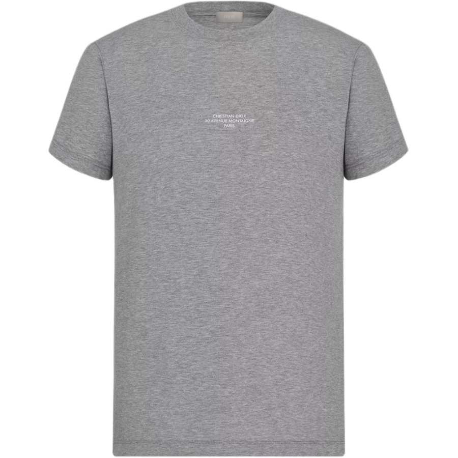 DIOR T Shirts Men's Gray Crew Neck Moderate Straight Fit