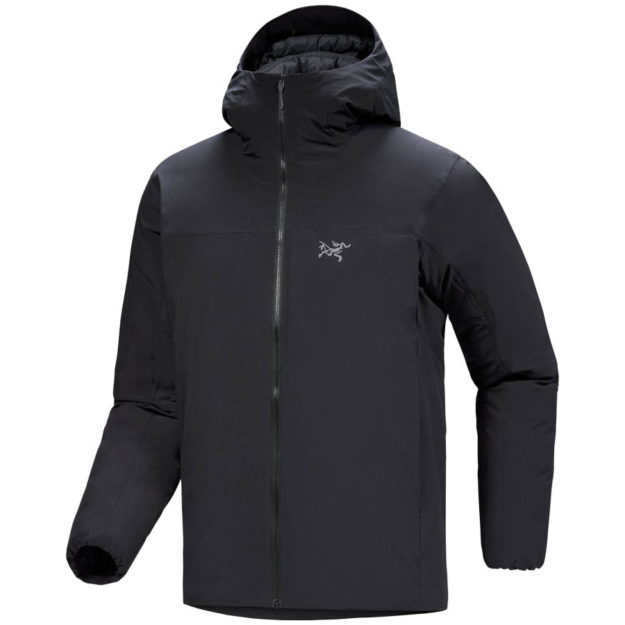 Arcteryx Arc'teryx EPSILON Down Jacket Men's
