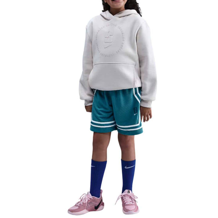 Nike Nike Kids Shorts Moderate