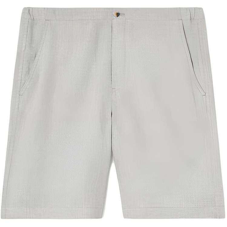 Loro Piana Casual Shorts Men's Gray