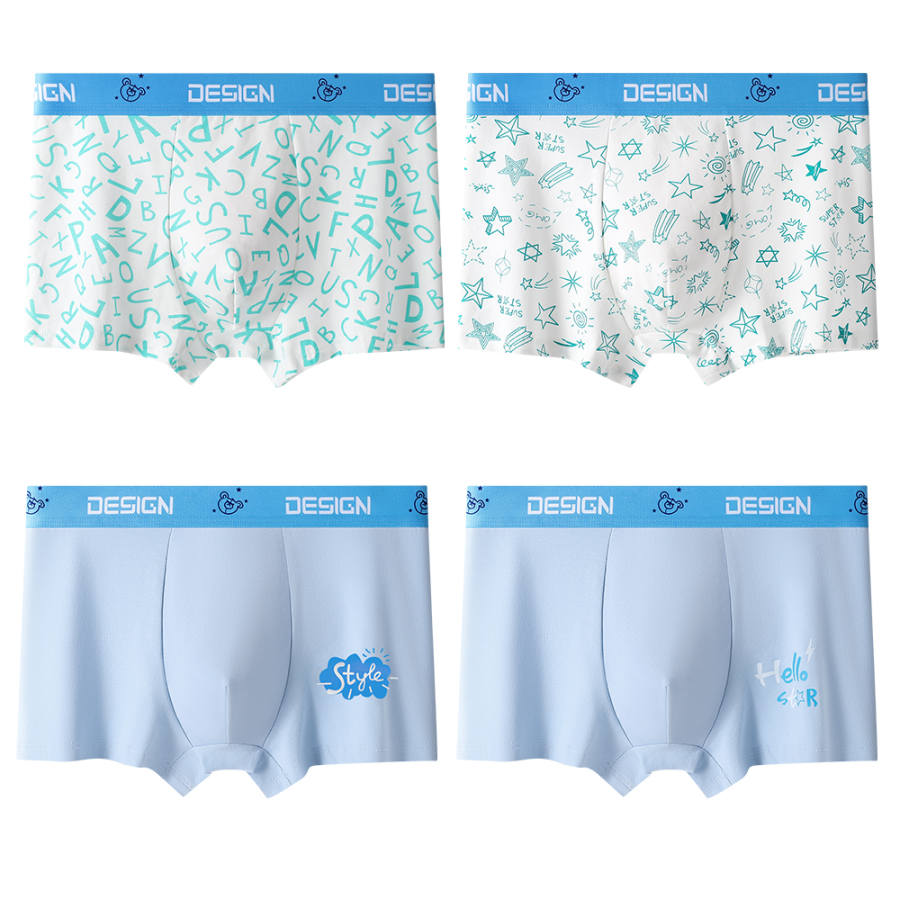 JBBCN JBBCN Underpants 4 Pack Teenagers