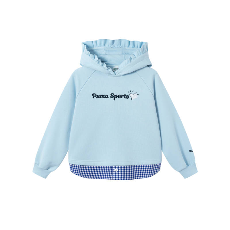 PUMA Unisex Sweatshirts Hooded Moderate