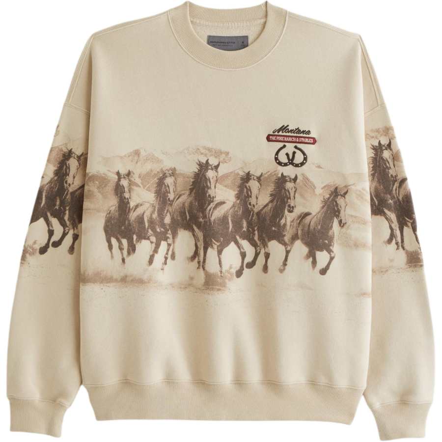 Abercrombie&Fitch Sweatshirt Men's
