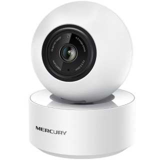 MERCURY Surveillance Cameras