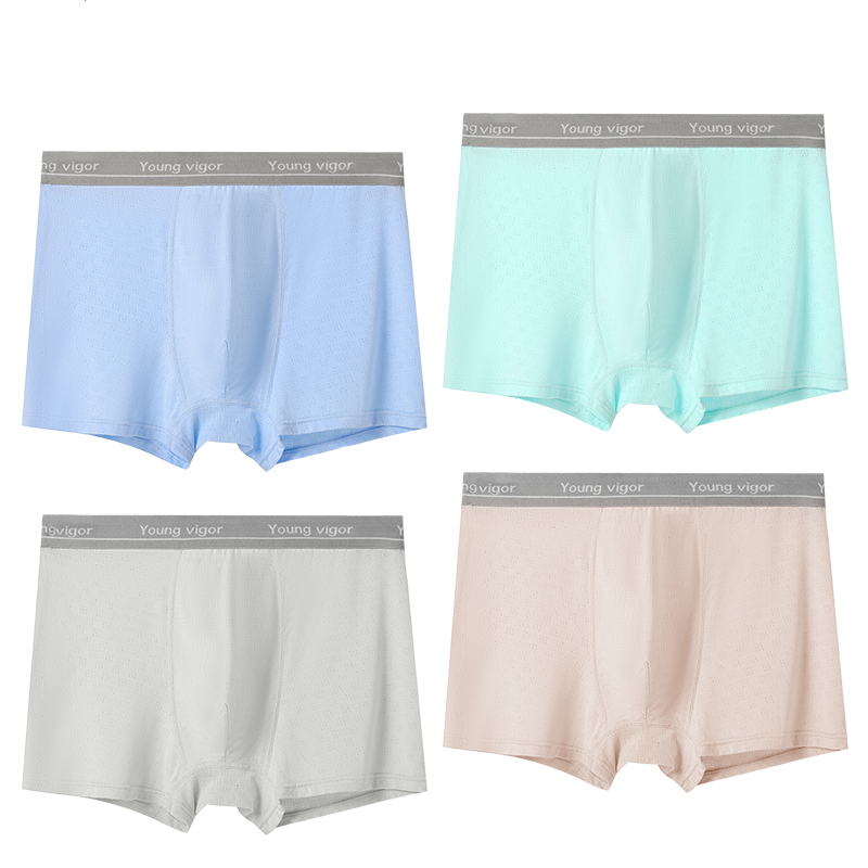 JBBCN JBBCN Grade School Underpants Moderate Boxer Shorts