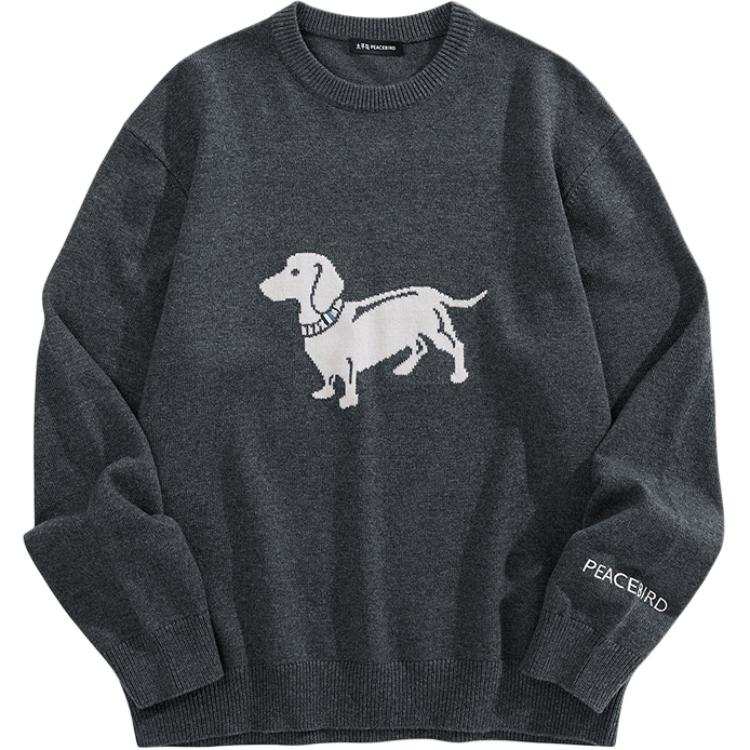 PEACEBIRD MEN Casual Sweater Unisex