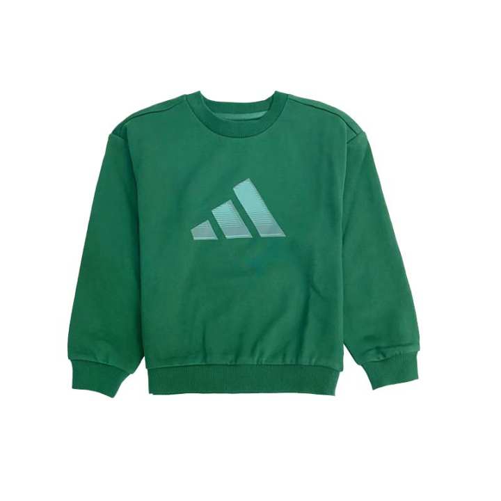 Adidas Adidas Kids Sweatshirts Crew Neck Moderate