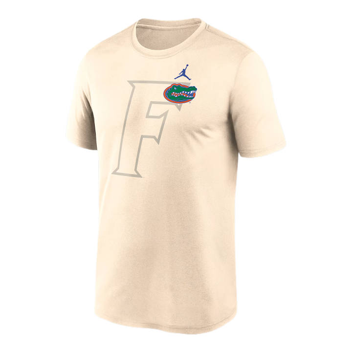 Jordan Jordan Florida Campus Legend Shadow Logo Men's Jordan Brand College Pullover Hoodie