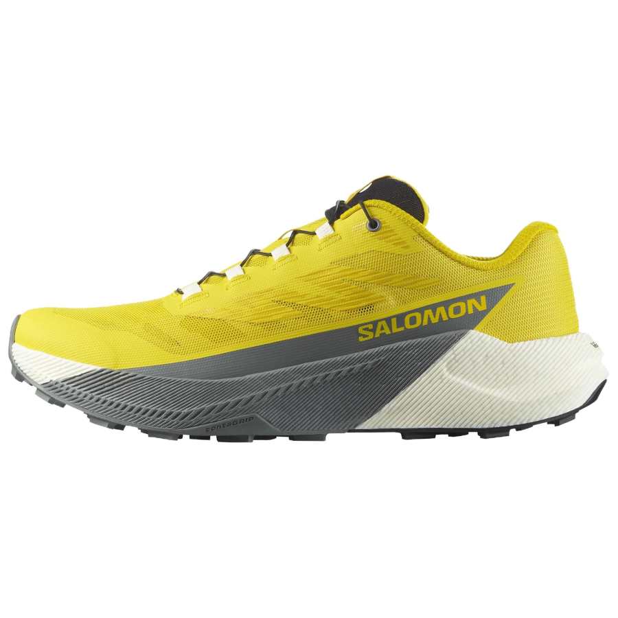 SALOMON Pulsar Classic And Versatile Running Shoes Men's Yellow