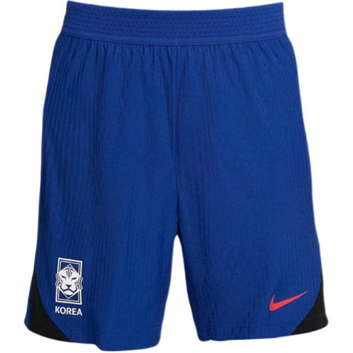 Nike Nike Clothing Casual Shorts Men's Blue