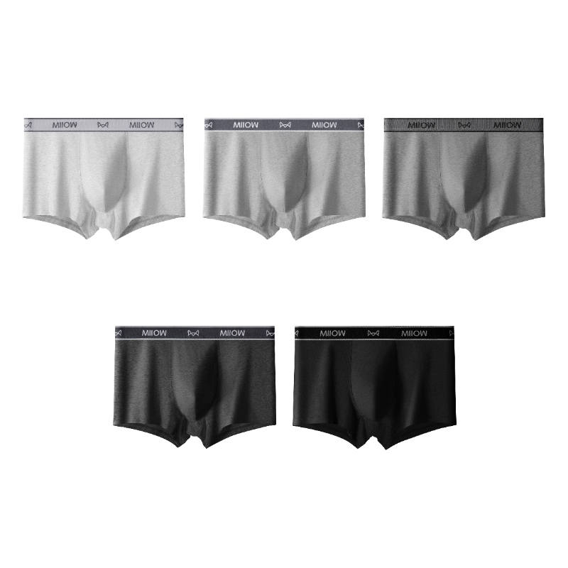 MIIOW MIIOW Boxer Briefs Women's 5 Pack