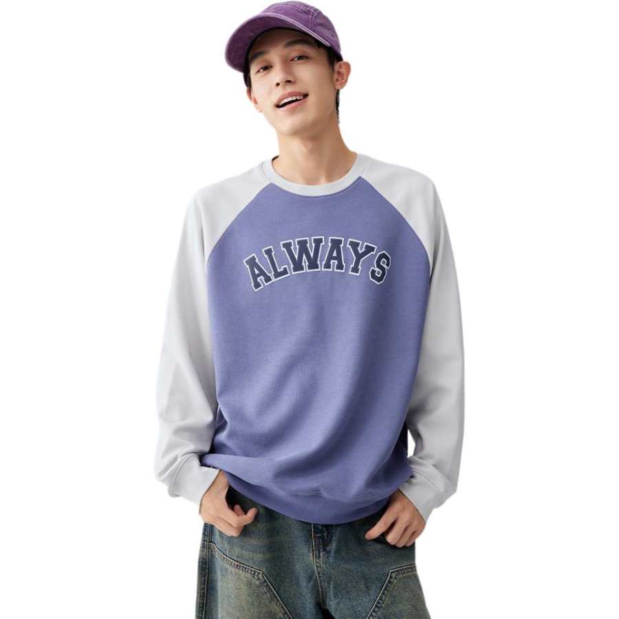361° Sweatshirts Men's Portulaca Purple/Lighthouse Gray Crew Neck Moderate Regular
