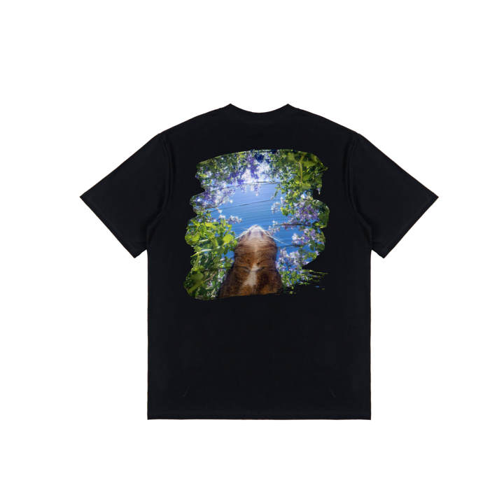 Nike Nike T Shirts Men's Black Crew Neck Moderate