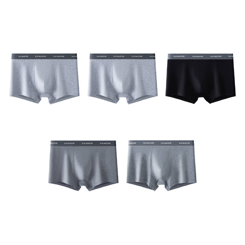 MIIOW MIIOW Boxer Briefs Men's 5 Pack