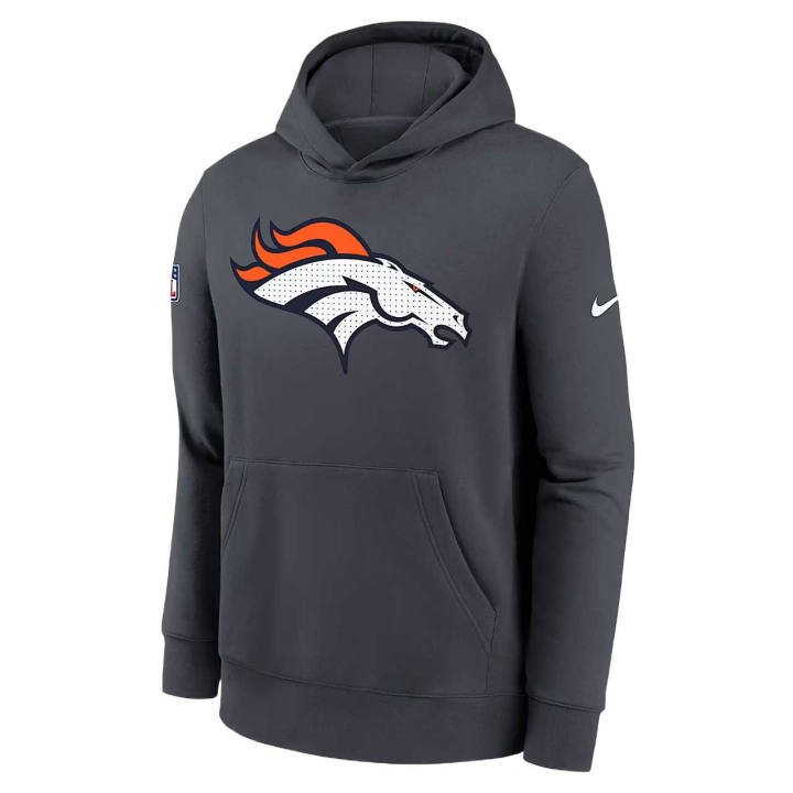 Nike Nike Kids Sweatshirts Hooded Moderate