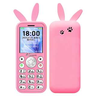 DUOWEI Feature Phones