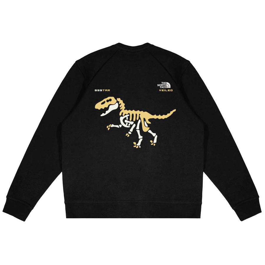 THE NORTH FACE Sweatshirt Unisex